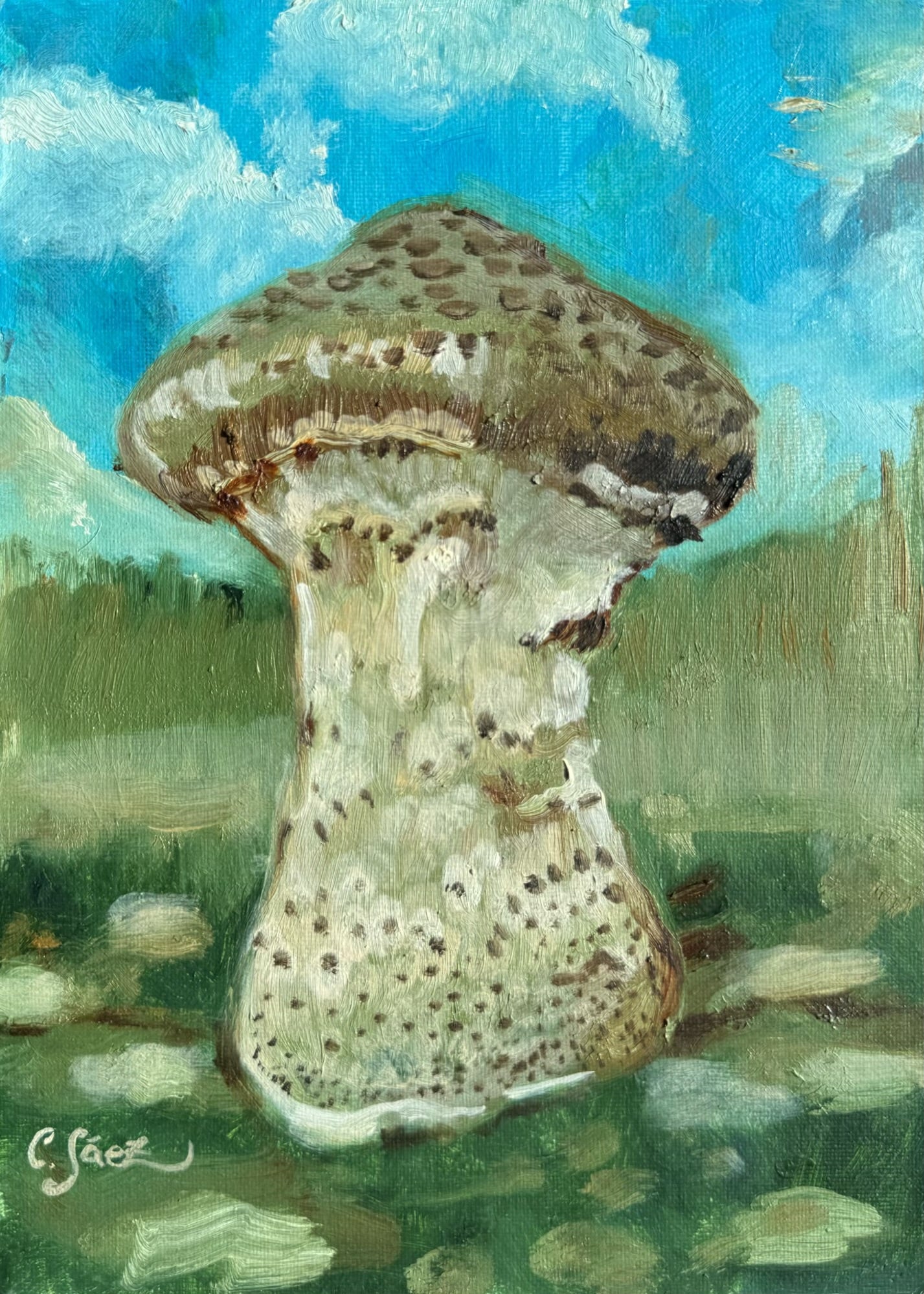 🍄Mushrooms in Oil Paint