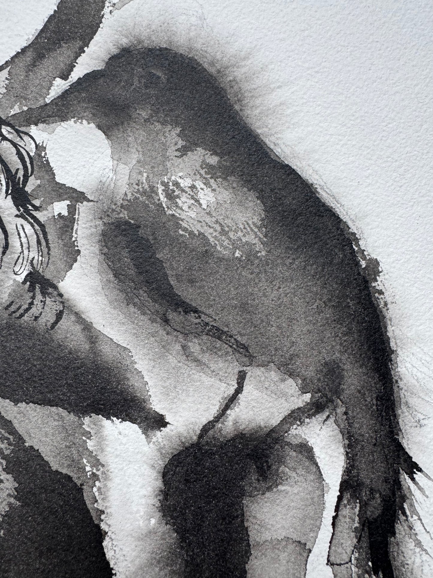 La Fuerza que Renace de las Sombras