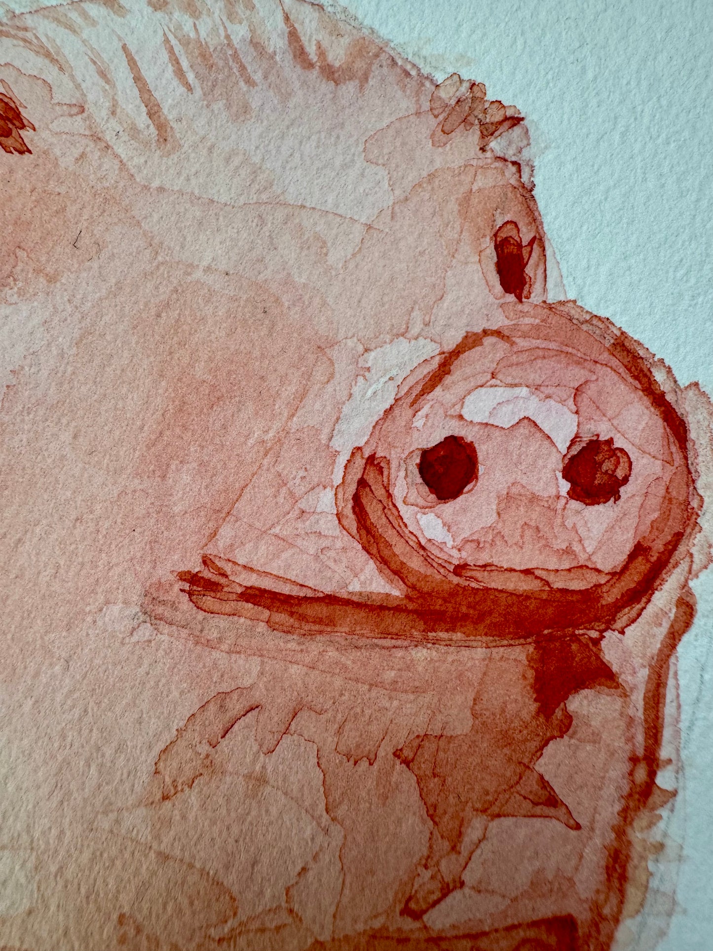 CERDITO | LITTLE PIG