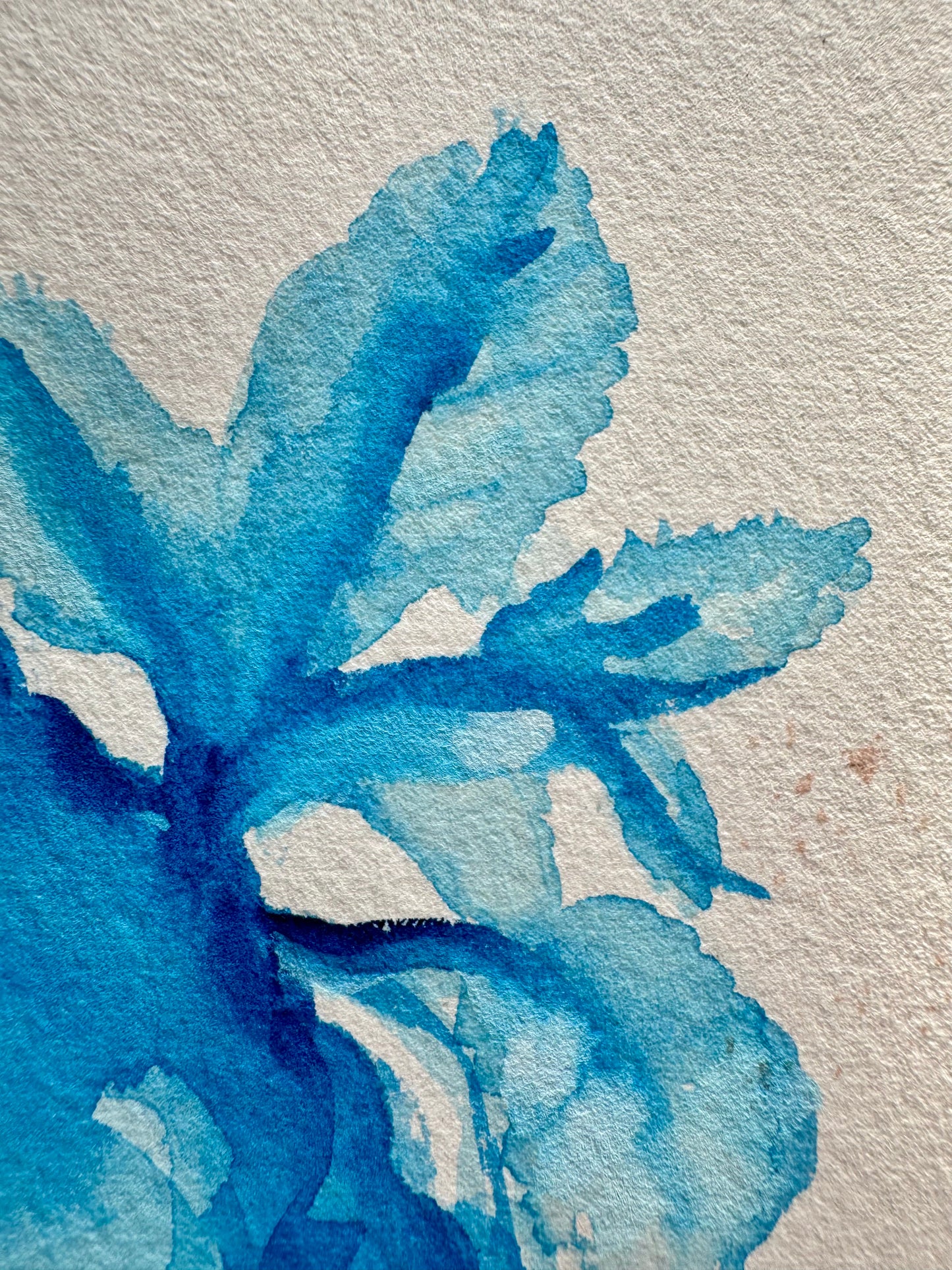 You are Delft blue | You are Delft blue