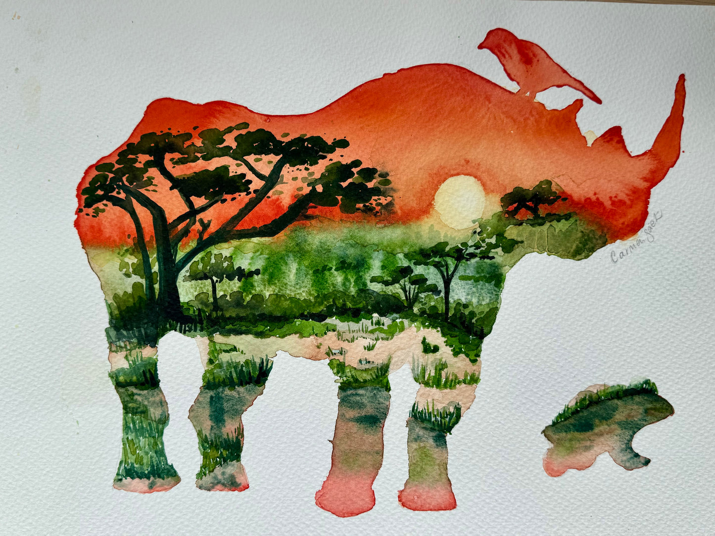 MAPUTOLAND, PONDOLAND, ALBANY