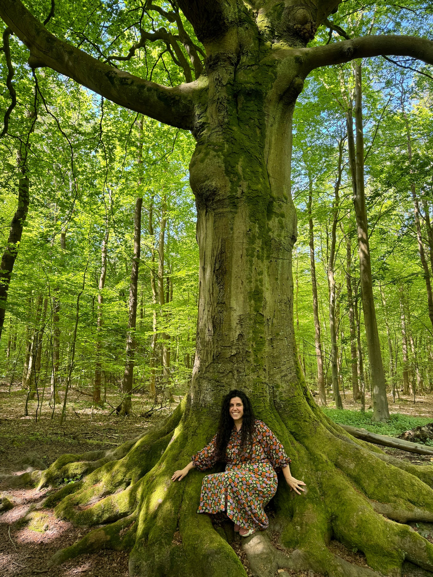 Yurei almas en pena | yurei souls on sorrow