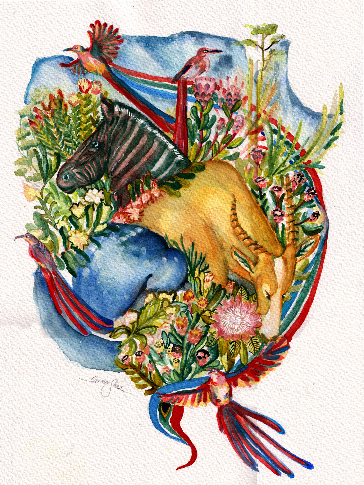 Cape Floristic Region