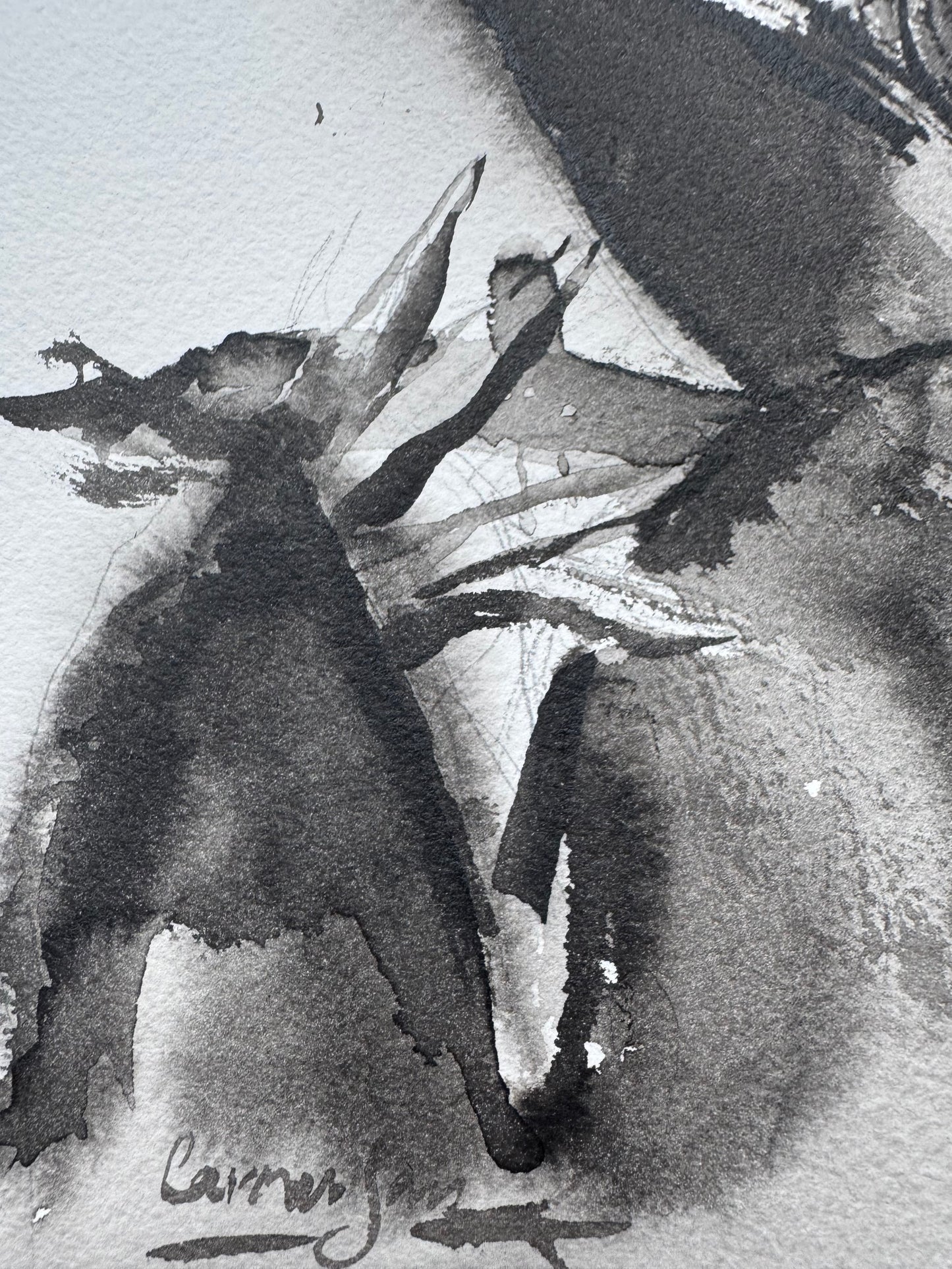 La Fuerza que Renace de las Sombras