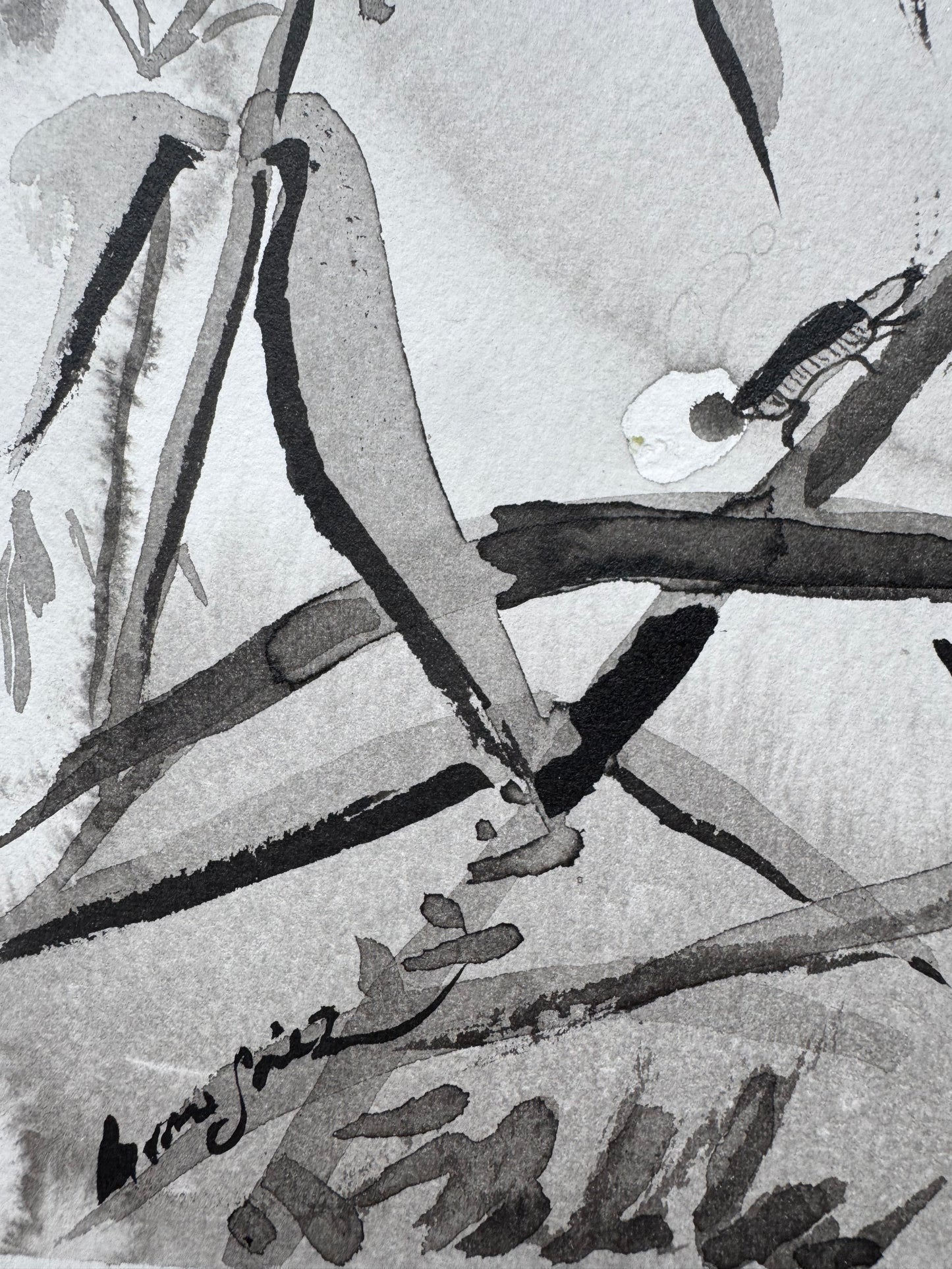 La Luz que Susurra en el Bosque