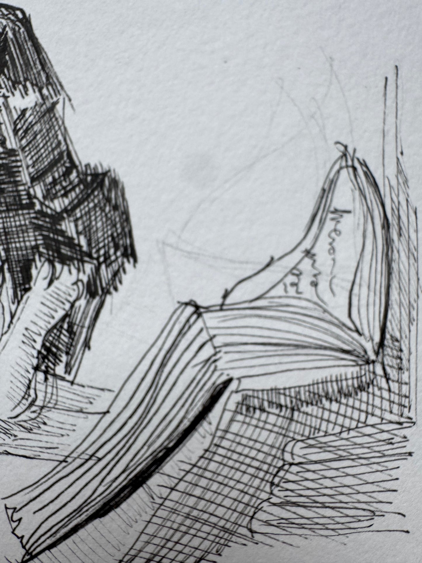 La Luz que Revela el Cuerpo