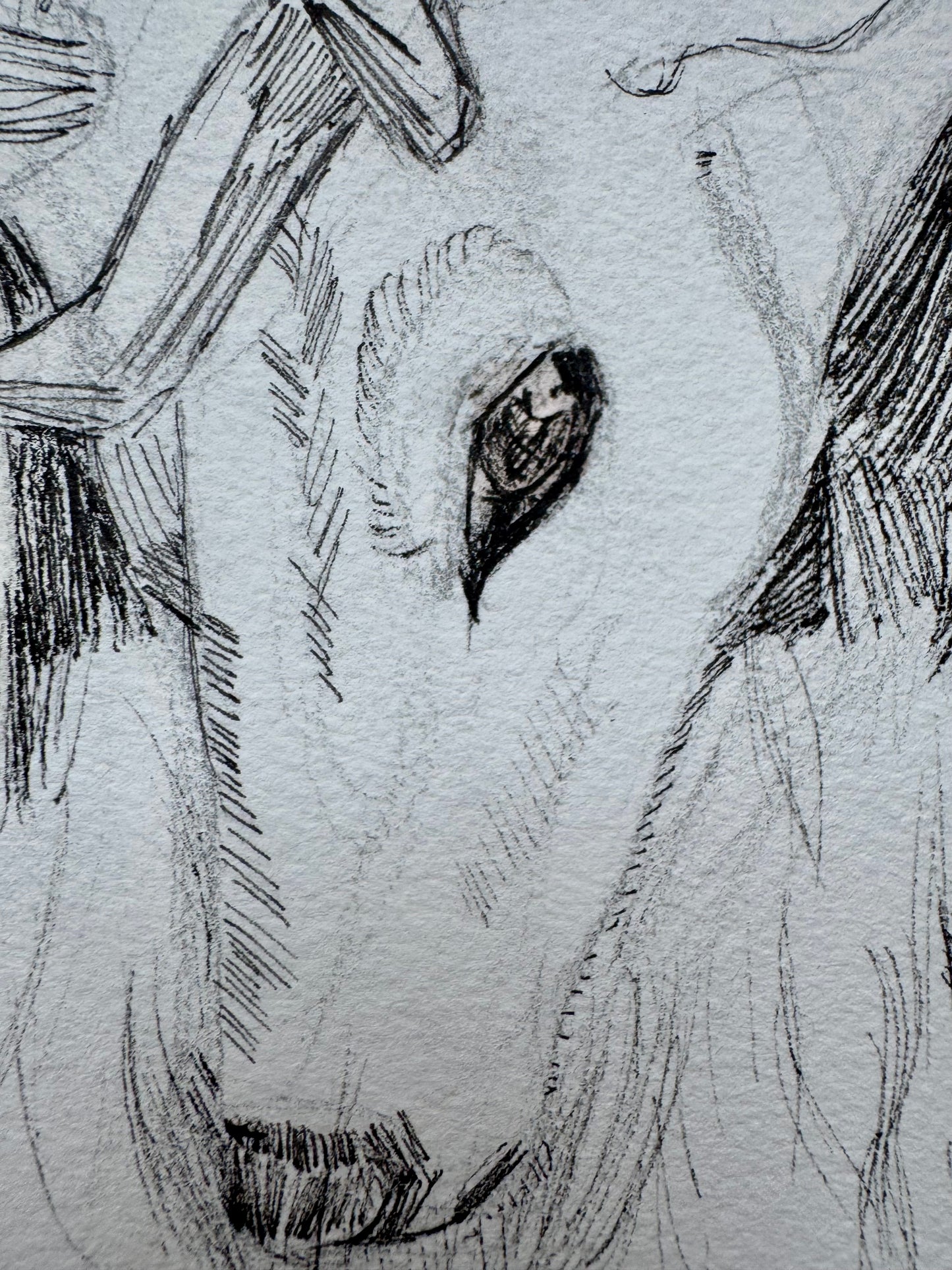 El Guardián del Bosque