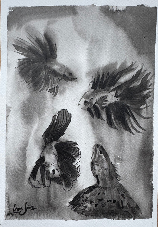 Turbio — Danza de los Peces Betta