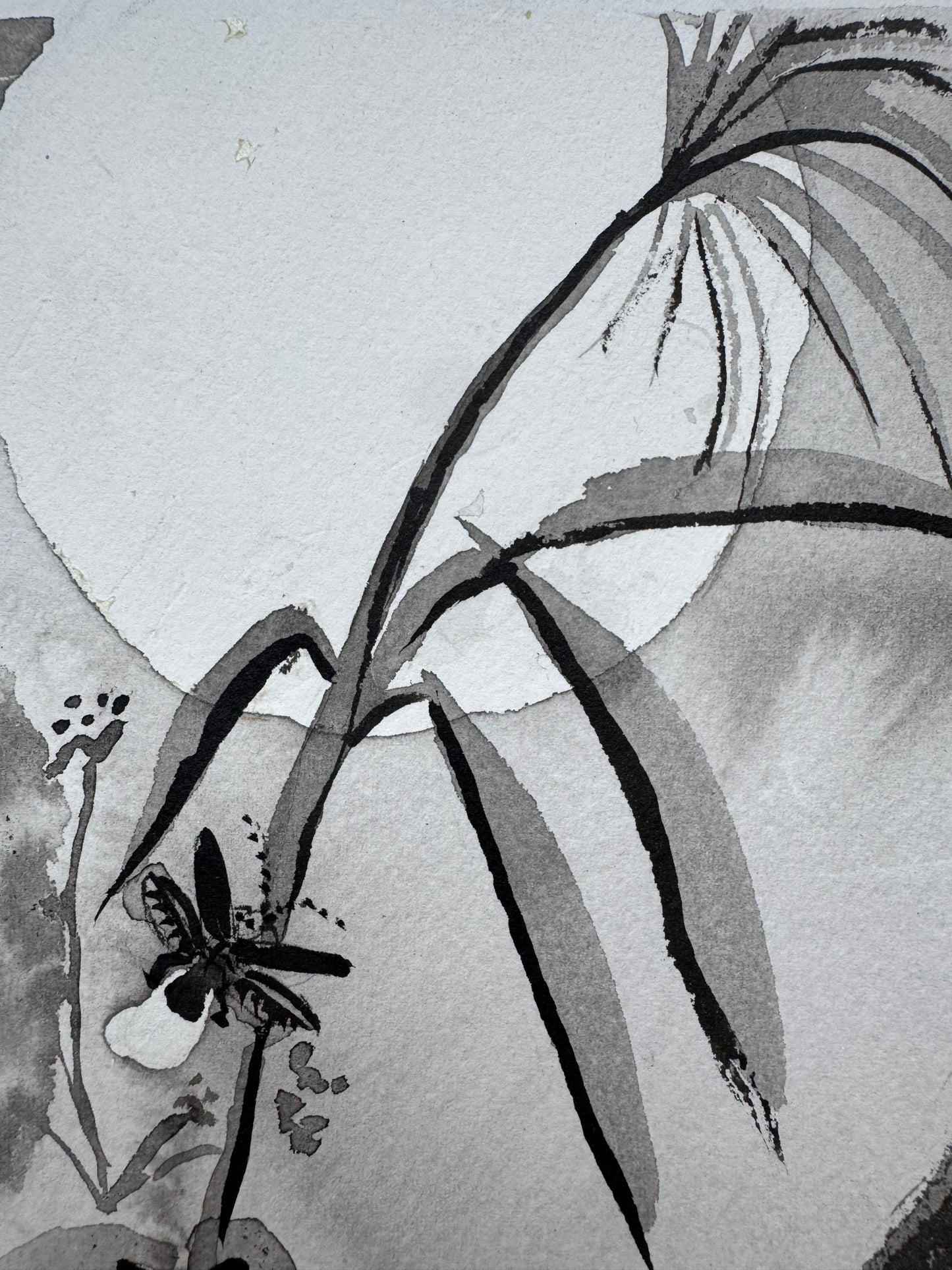 La Luz que Susurra en el Bosque