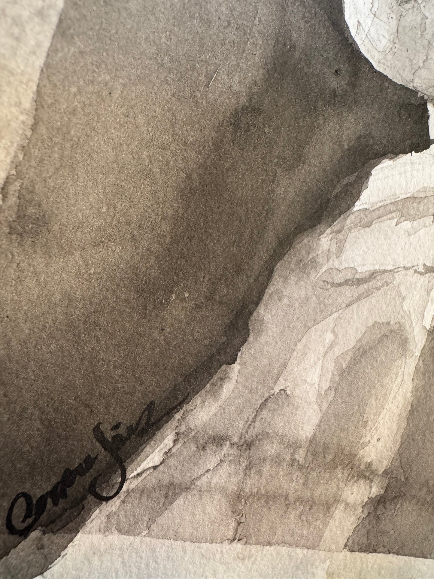 El Silencio que Mira