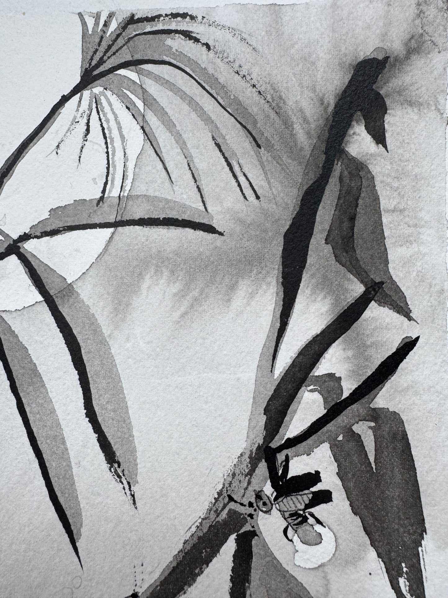 La Luz que Susurra en el Bosque