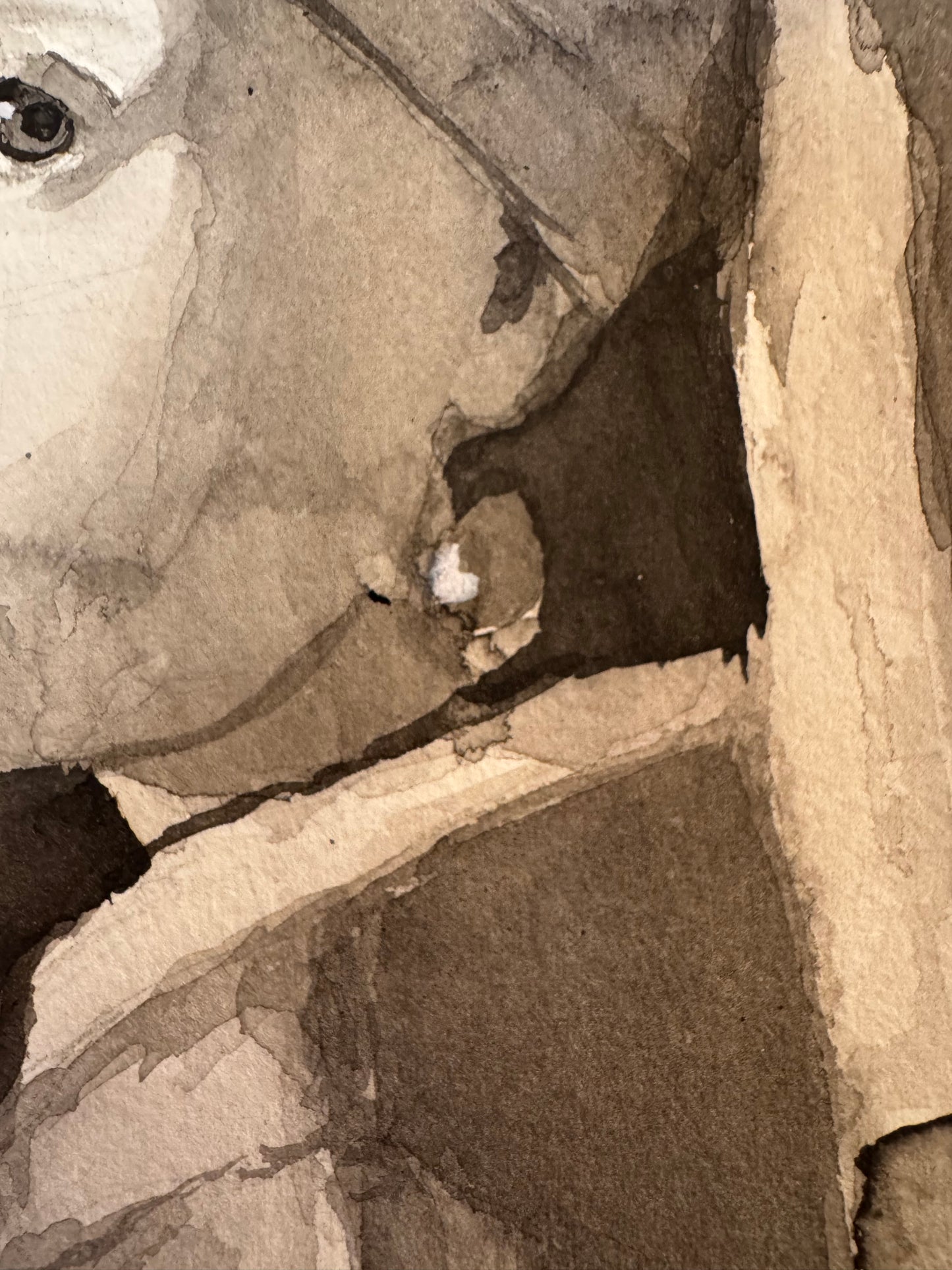 El Silencio que Mira