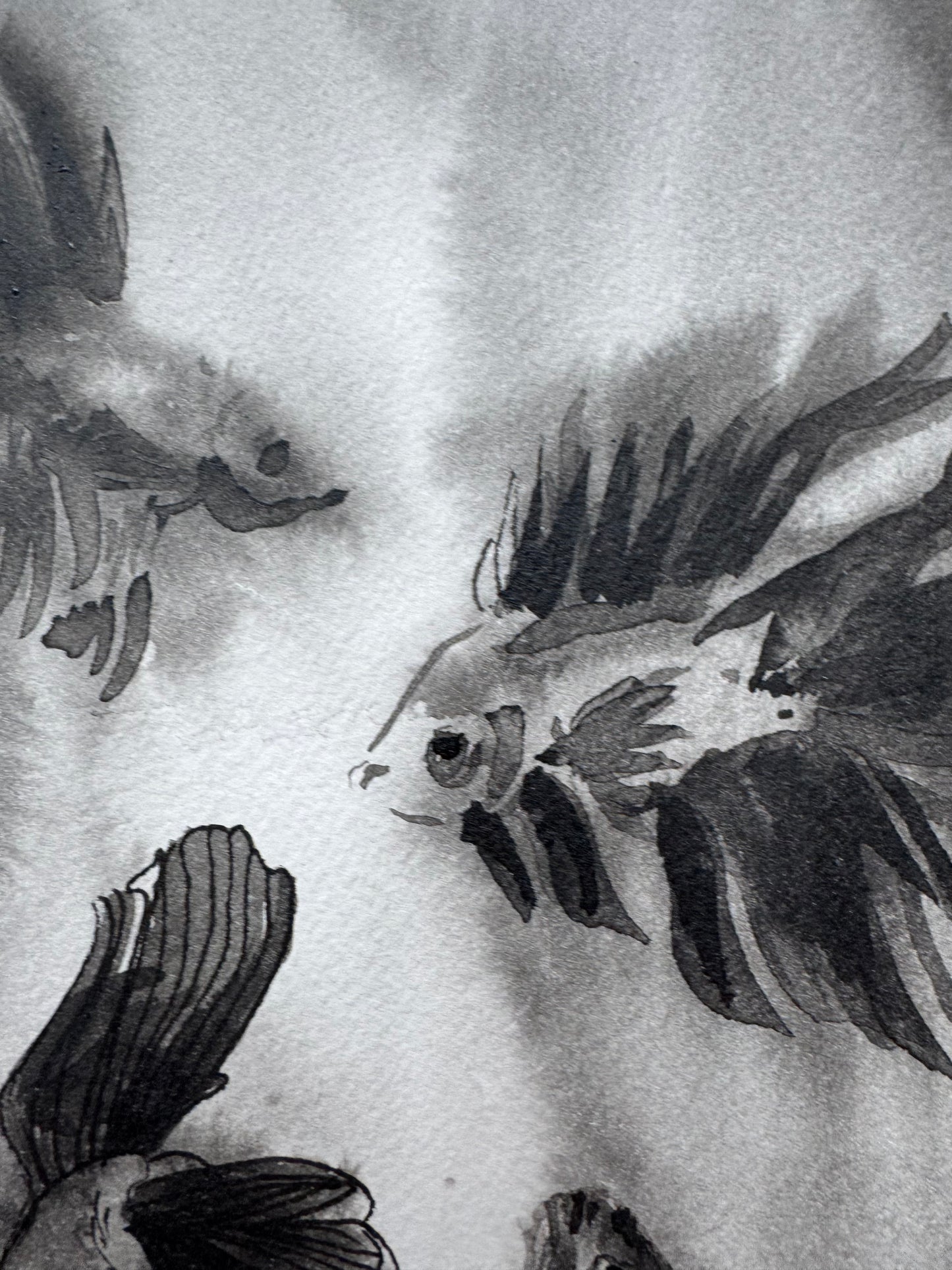 Turbio — Danza de los Peces Betta