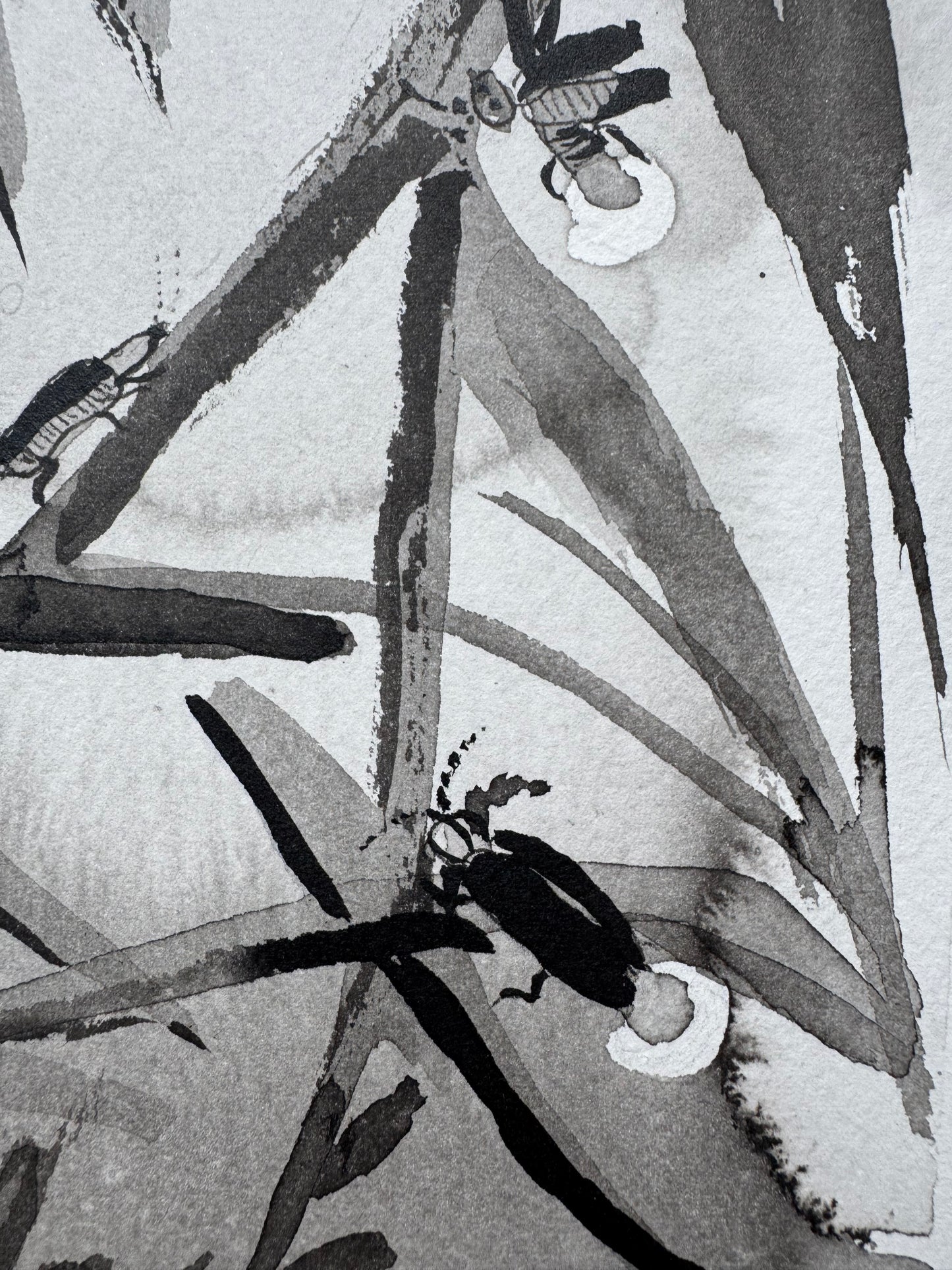 La Luz que Susurra en el Bosque