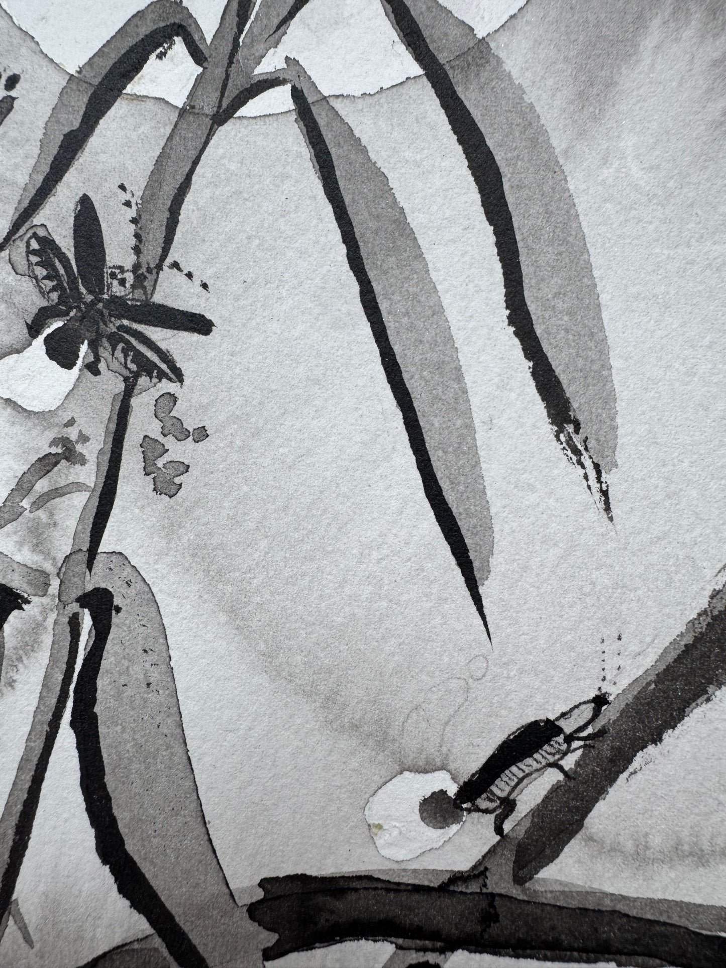 La Luz que Susurra en el Bosque