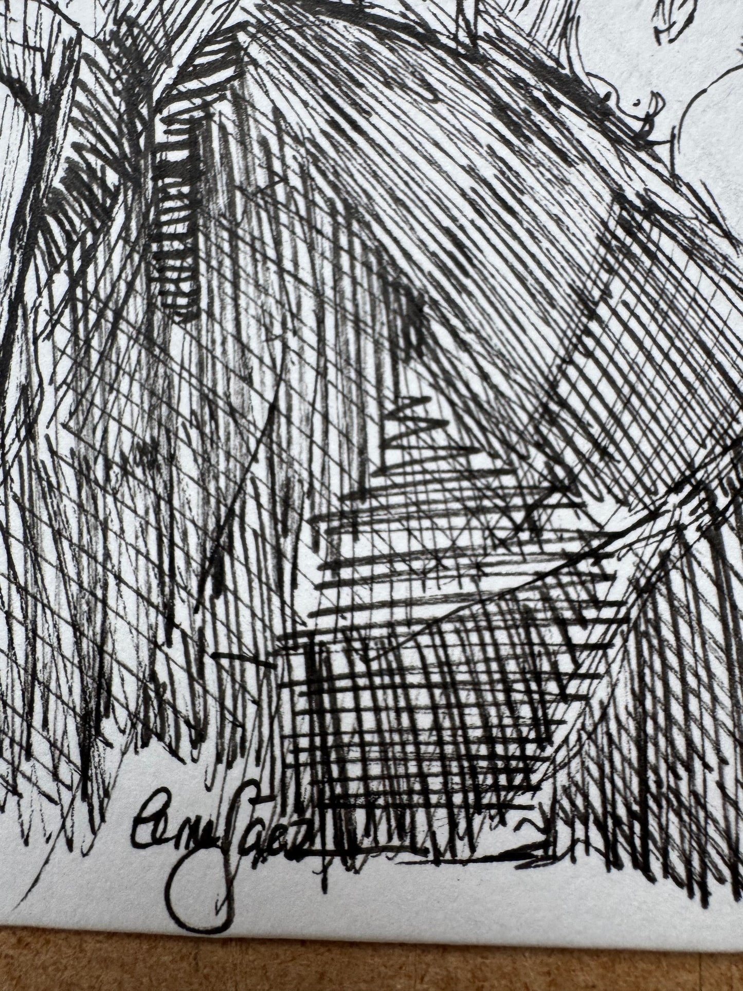 La Luz que Revela el Cuerpo