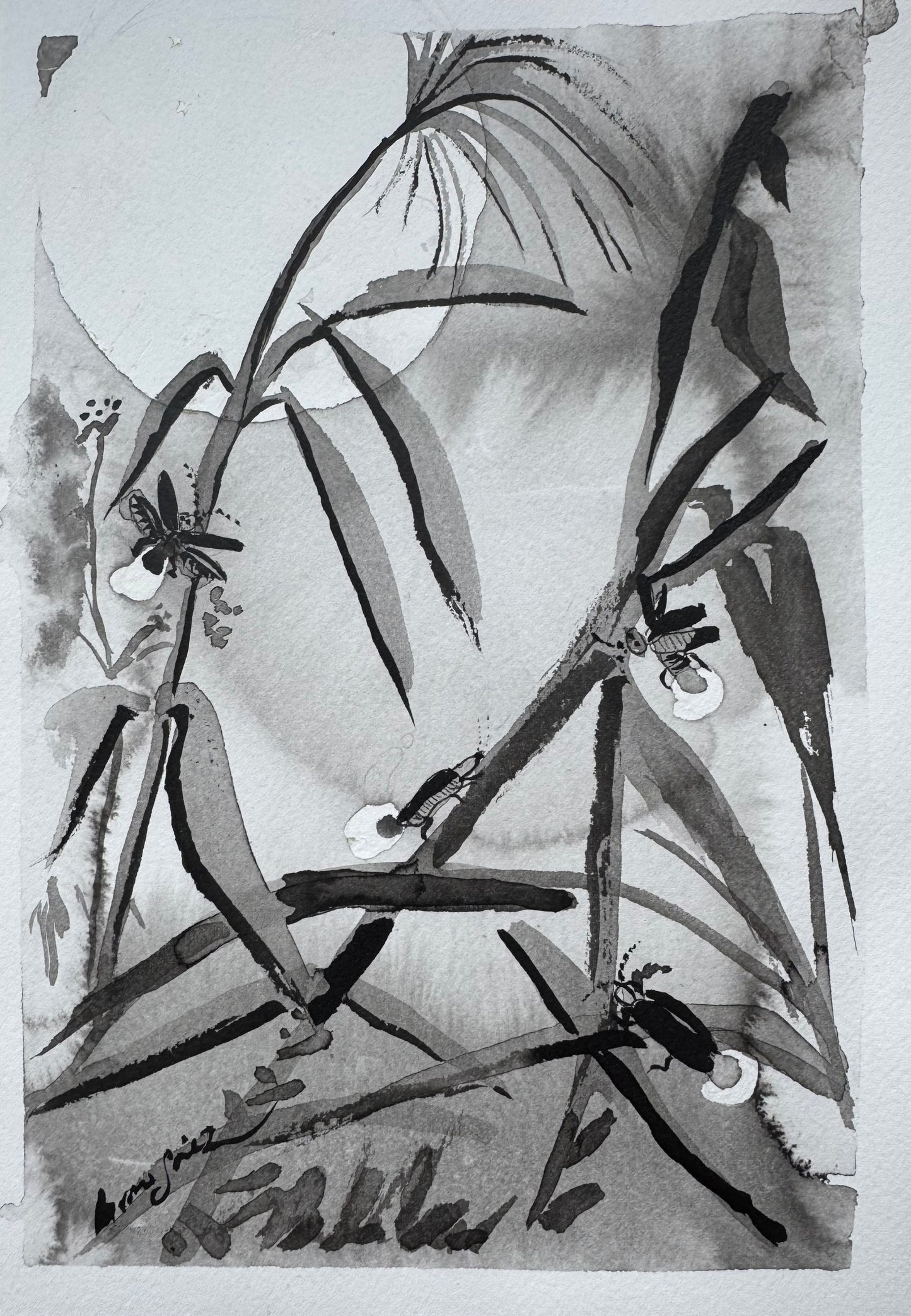 La Luz que Susurra en el Bosque