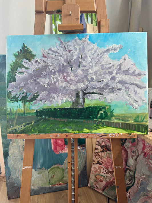 🌸 Sakura & Watercolour